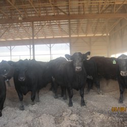 Kaminski Farms Meat