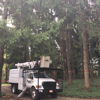 Primetime Tree and Landscape Services - Tree Services Near Me - Imperial, Pennsylvania