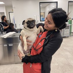 Bixby Animal Clinic & Urgent Care - One of our Vet Assistants getting ready to assist the doctor.