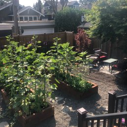 a raised garden