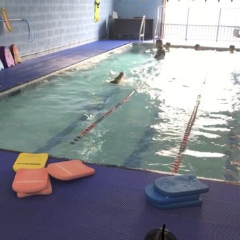 MM Swimming Club - Swimming Lessons/Schools Near Me - Miami, Florida MM Swimming Club - Swimming Lessons/Schools Near Me - Miami, Florida