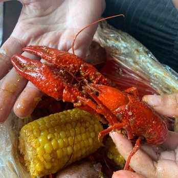 Lousiana Crab Shack - Cajun/Creole Near Me - Round Rock, Texas Lousiana Crab Shack - Cajun/Creole Near Me - Round Rock, Texas