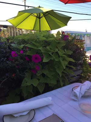 Black Eyed Susans Tavern & Restaurant by null