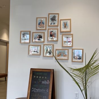 Hancock Park Veterinary Clinic - Veterinarians Near Me - Los Angeles, California