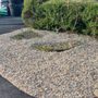 Photo of Davidson Landscaping