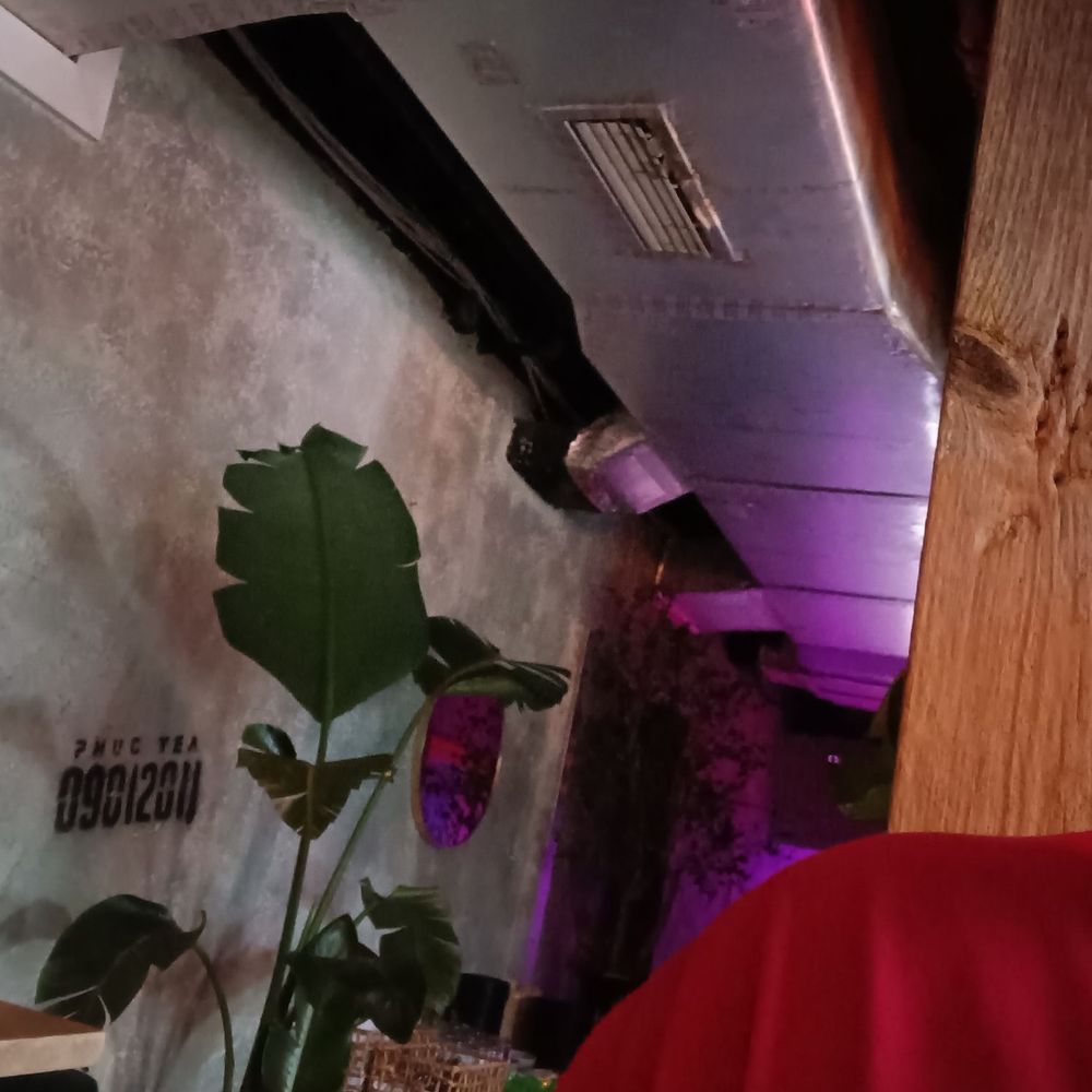 Phuc Yea - Vietnamese Near Me - Miami, Florida