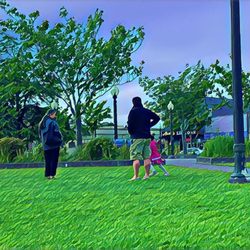 The Arcata Plaza - Arcata Plaza