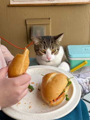 Bon Baguette by null