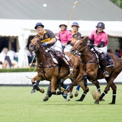Ham Polo Club
