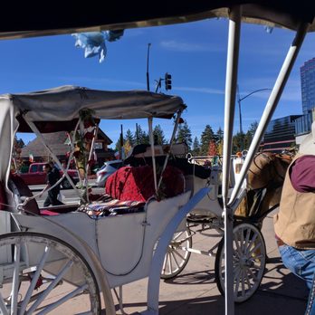 Tahoe Sleigh & Carriage Rides - Carriage - Tours Near Me - Stateline, Nevada Tahoe Sleigh & Carriage Rides - Carriage - Tours Near Me - Stateline, Nevada
