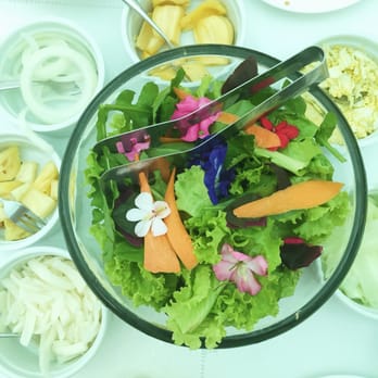 Sonya's Garden - Picture perfect salad spread - Bed & Breakfast Near Me - Alfonso, CAV