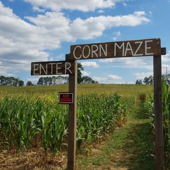 Bullock Farms - Pick Your Own Farms Near Me - Upper Freehold, New Jersey Bullock Farms - Pick Your Own Farms Near Me - Upper Freehold, New Jersey