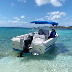 Willy's Transportation Service