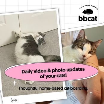 Bbcat - Pet Boarding Near Me Bbcat - Pet Boarding Near Me