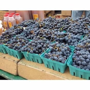 Locust Grove Fruit Farm - Farmers Market Near Me - Milton, New York