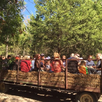 Blase Family Farm - Pick Your Own Farms Near Me - Rockwall, Texas Blase Family Farm - Pick Your Own Farms Near Me - Rockwall, Texas