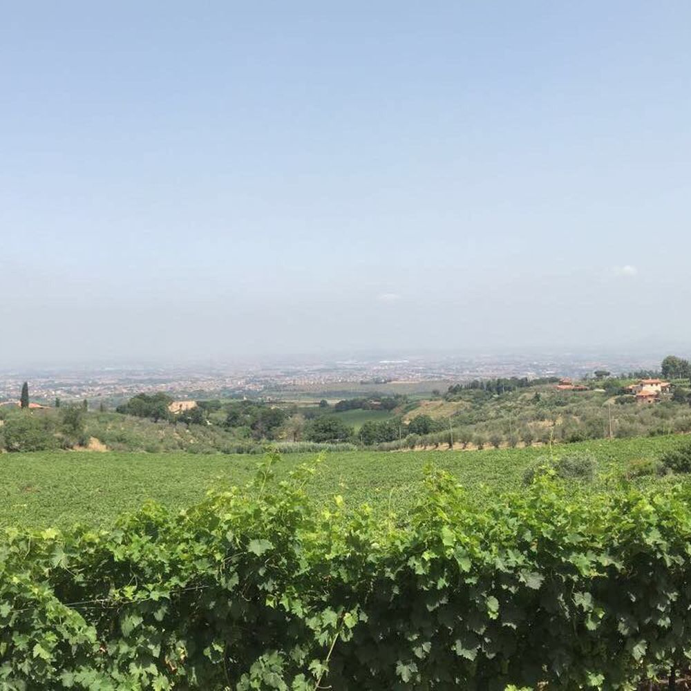 The Old Frascati - Food Tours Near Me - Frascati, RM The Old Frascati - Food Tours Near Me - Frascati, RM
