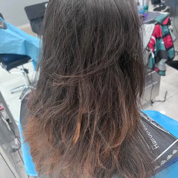 Tina Beauty Salon - Before my haircut, frizzy dried ends. - Hair Salons Near Me - Chicago, Illinois Tina Beauty Salon - Before my haircut, frizzy dried ends. - Hair Salons Near Me - Chicago, Illinois