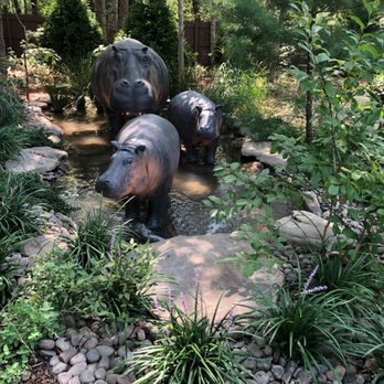 Dragonfly Landscape Design - three hippos in a garden - Landscaping Near Me - Speonk, New York Dragonfly Landscape Design - three hippos in a garden - Landscaping Near Me - Speonk, New York