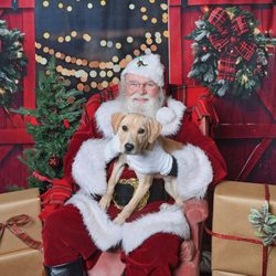 Brandt's Mill - Santa's biggest fan