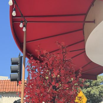 Red Maple - Cafes Near Me - Los Angeles, California