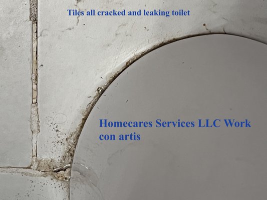 Home Care Service Logo