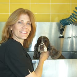 vets for pets bulwell