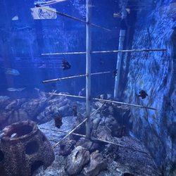 Key West Aquarium