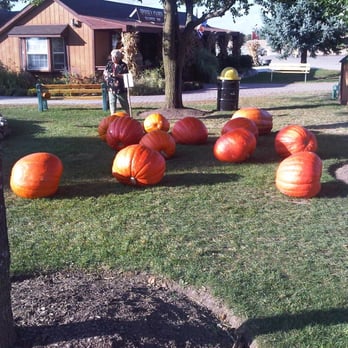 Didier Farms - overweight pumpkin meeting - Farmers Market Near Me - Prairie View, Illinois Didier Farms - overweight pumpkin meeting - Farmers Market Near Me - Prairie View, Illinois