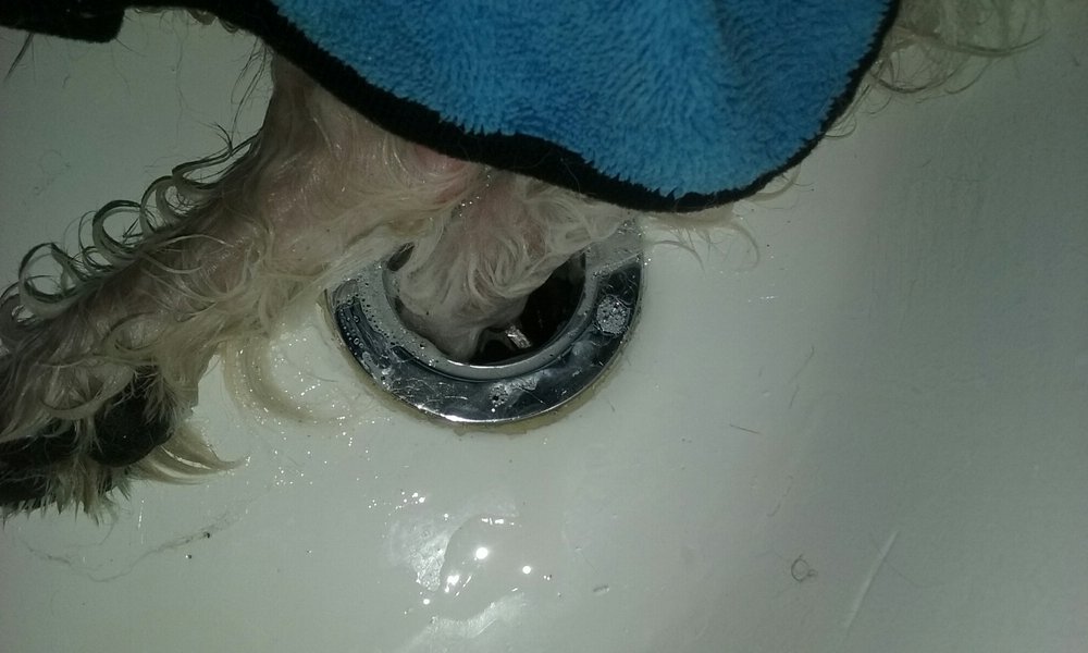 Slide of Bailey Plumbing