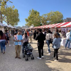 Museum Market