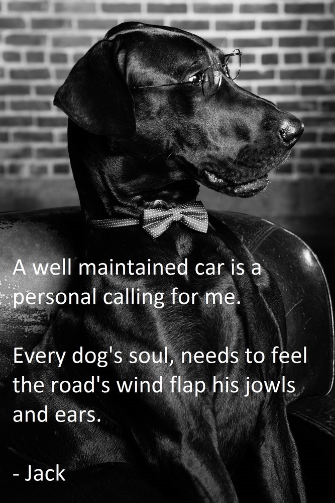 JACK DANE AUTO SERVICE 31 Reviews 1200 I St, Sacramento, California Auto Repair Phone