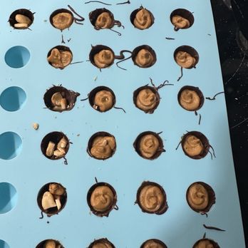 Michaels - Silicon chocolate molds work well. - Arts & Crafts Near Me - Oklahoma City, Oklahoma