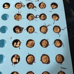 Michaels - Silicon chocolate molds work well.