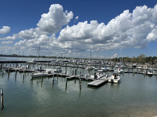 The Deadrise by null