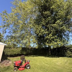 Fred's Tree & Lawn Service