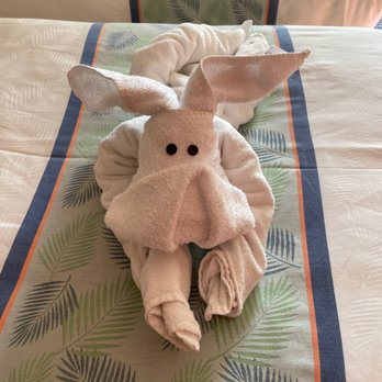 Carnival Cruise Line - Animal towel - Transportation Near Me - Van Nuys, California