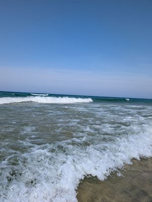 Stearns Park by null