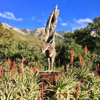 Nepenthe - New American Near Me - Big Sur, California Nepenthe - New American Near Me - Big Sur, California