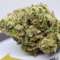 The 64 Store - Veritas pre-weighed eighths