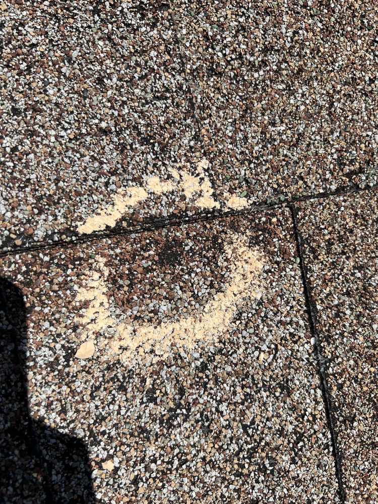 Slide of Chandler Swing