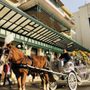 Bluebonnet Carriage