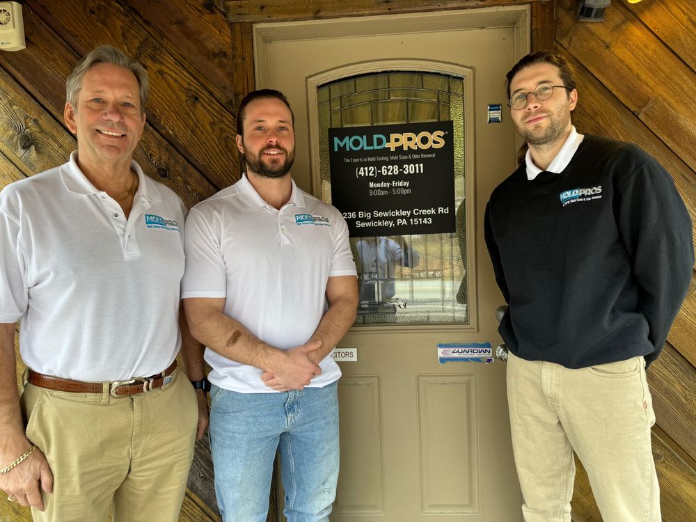 Moldpros - mold inspector in Sewickley, PA