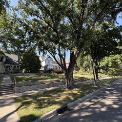 Langford Park