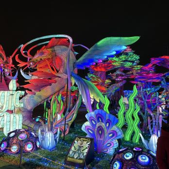 Tianyu Lights Featival - Festivals Near Me - Grand Prairie, Texas Tianyu Lights Featival - Festivals Near Me - Grand Prairie, Texas