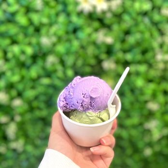 Gadani - Lavender and Matcha Gelato. - Coffee & Tea Near Me - Berkeley, California