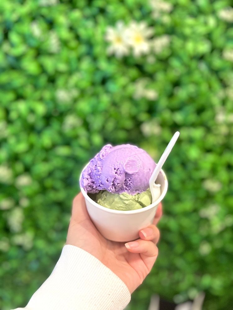 Social spots from Gadani