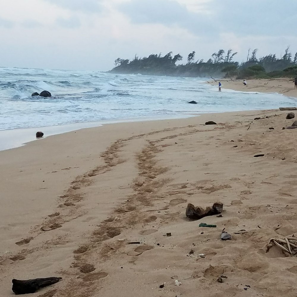 Kauai Beach Villas - Vacation Rentals Near Me - Lihue, Hawaii