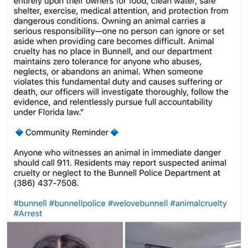 Rapidfire Retrievers - Pet Training Near Me Rapidfire Retrievers - Pet Training Near Me
