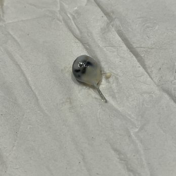 Smokey Bones - Push pin? Earring? - Barbeque Near Me - Virginia Beach, Virginia Smokey Bones - Push pin? Earring? - Barbeque Near Me - Virginia Beach, Virginia